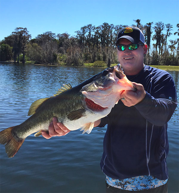 Florida Bass Fishing  Bass Fishing Florida Charters for Trophy Bass