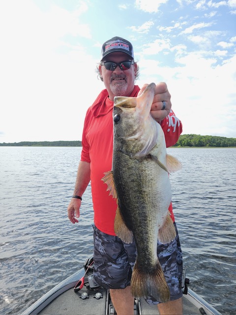 Florida largemouth bass